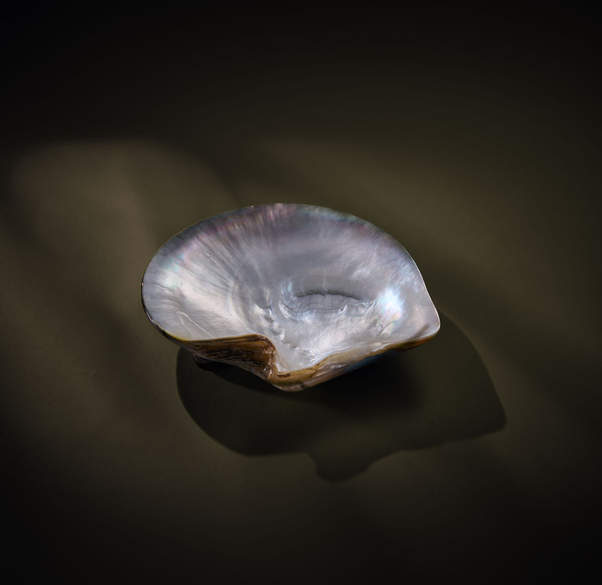 Nacrescent Shell Tray